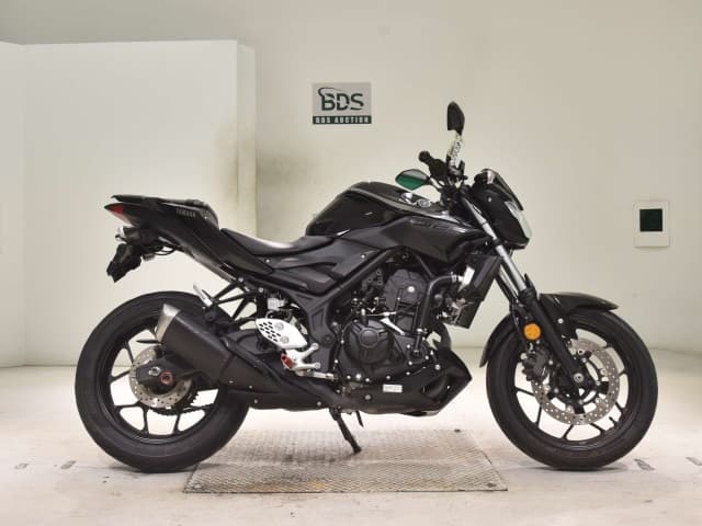 Yamaha MT-25