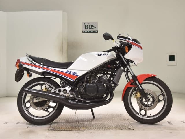 Yamaha RZ250R