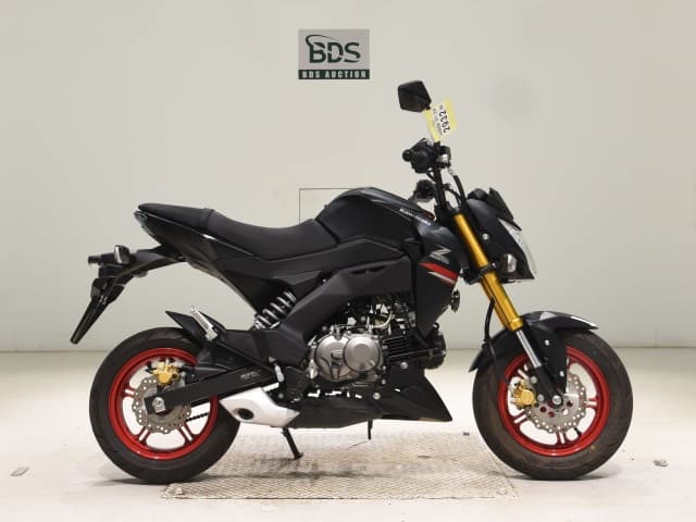 Kawasaki Z125PRO