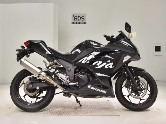 Kawasaki NINJA250