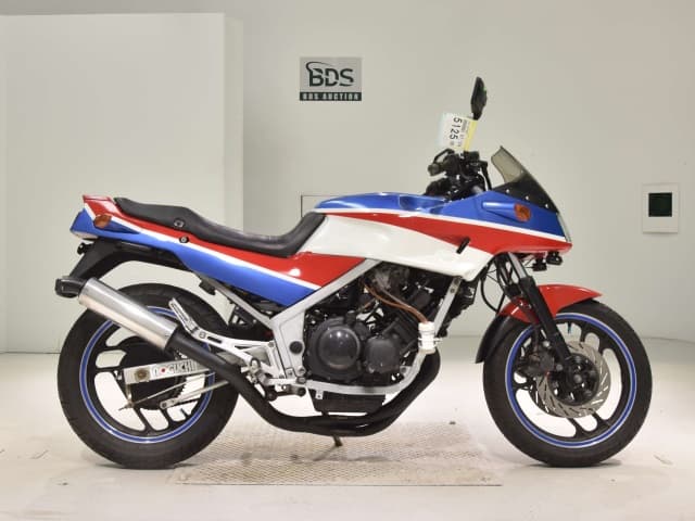 Yamaha FZ250
