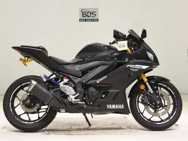 Yamaha YZF-R25A