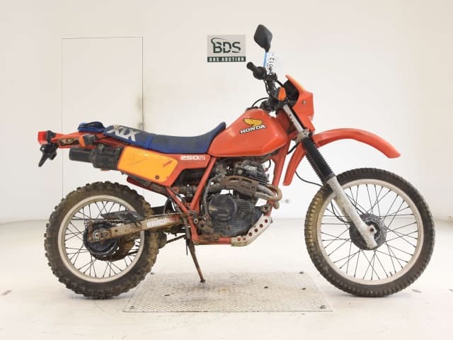 Honda XLX250R(ｼｮﾙｲﾅｼ)