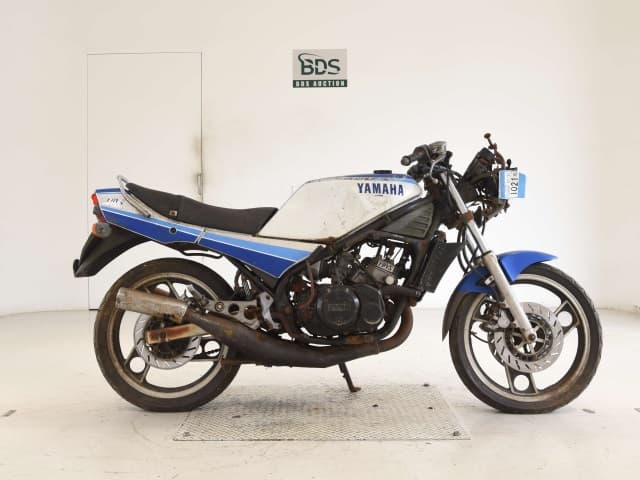 Yamaha RZ250RR(ｼｮﾙｲﾅｼ)