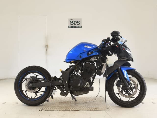 Kawasaki NINJA250