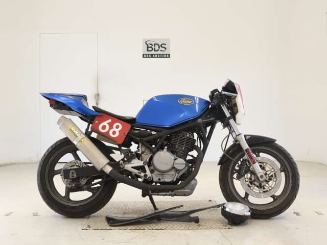 Suzuki GOOSE250