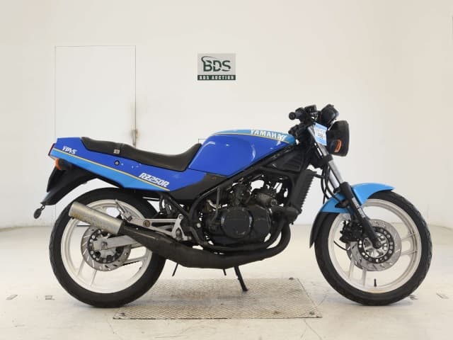 Yamaha RZ250R