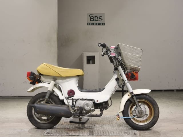 Honda CHALY50