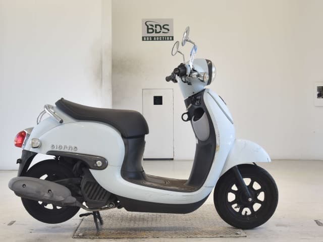 Honda GIORNO-3