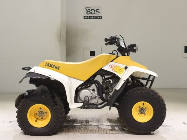 Yamaha YF100M