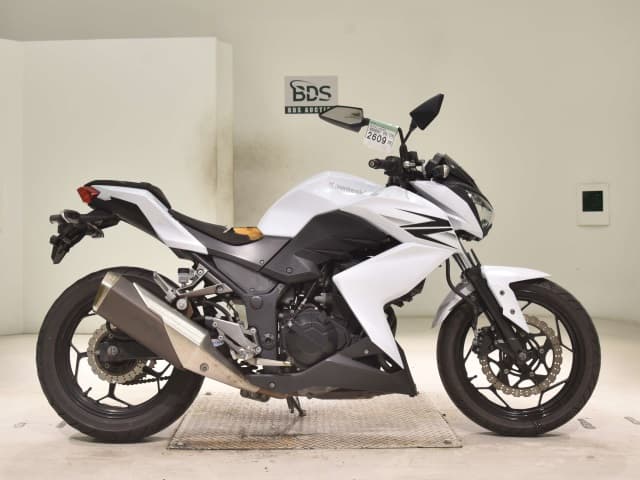 Kawasaki Z250