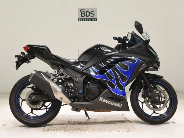 Kawasaki NINJA250