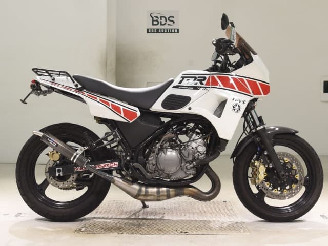 Yamaha TDR250