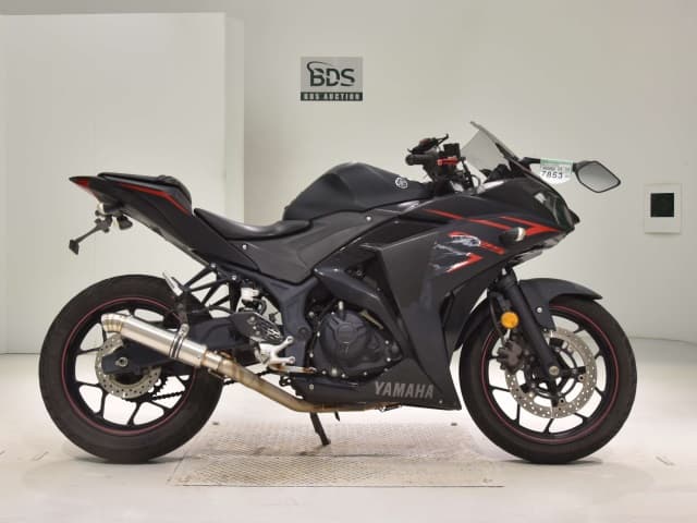 Yamaha YZF-R25