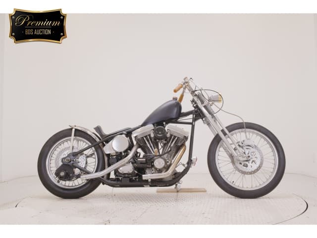 Imported UNREGISTERED MODEL by BDS1330