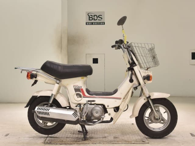 Honda CHALY50