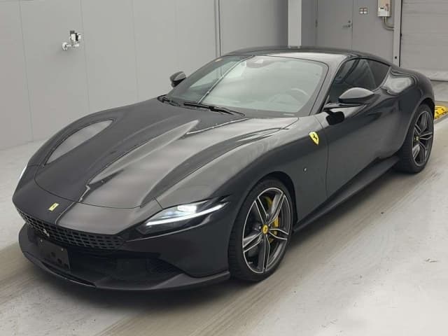 OTHERS FERRARIﾛﾏ