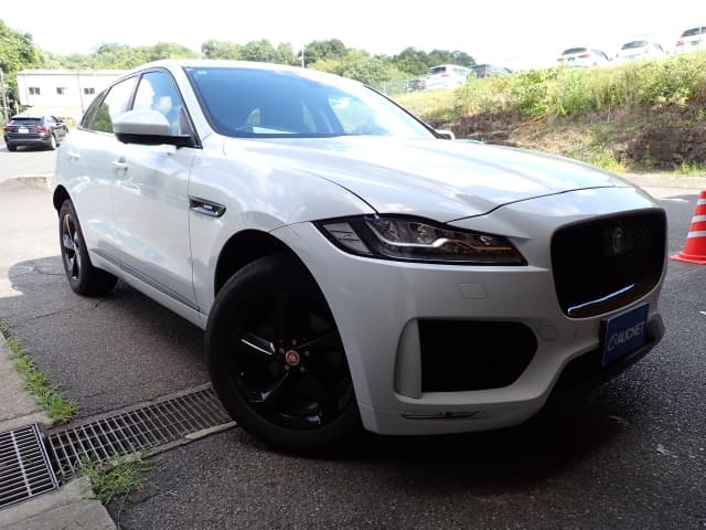 OTHERS JAGUARFﾍﾟｽ