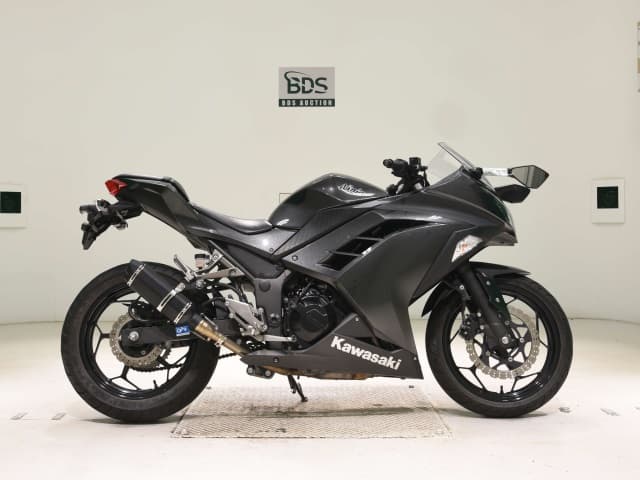Kawasaki NINJA250