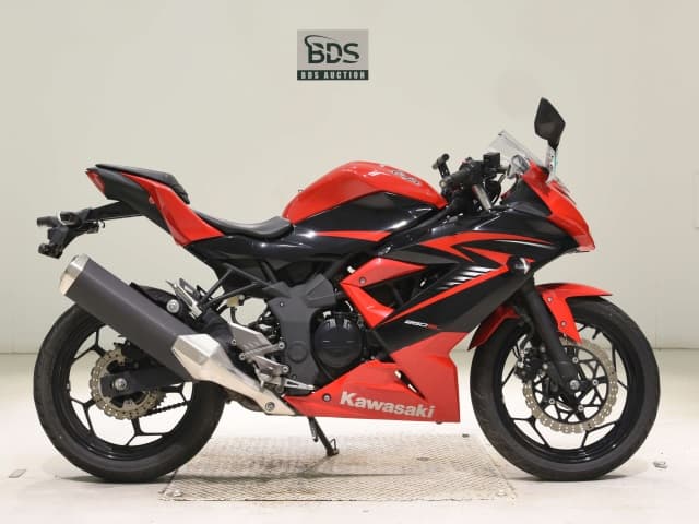 Kawasaki NINJA250SL